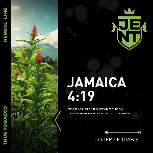Jent Herbal Line - Jamaica 4:19
